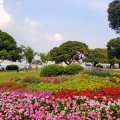 横浜 山下公園 西側花壇