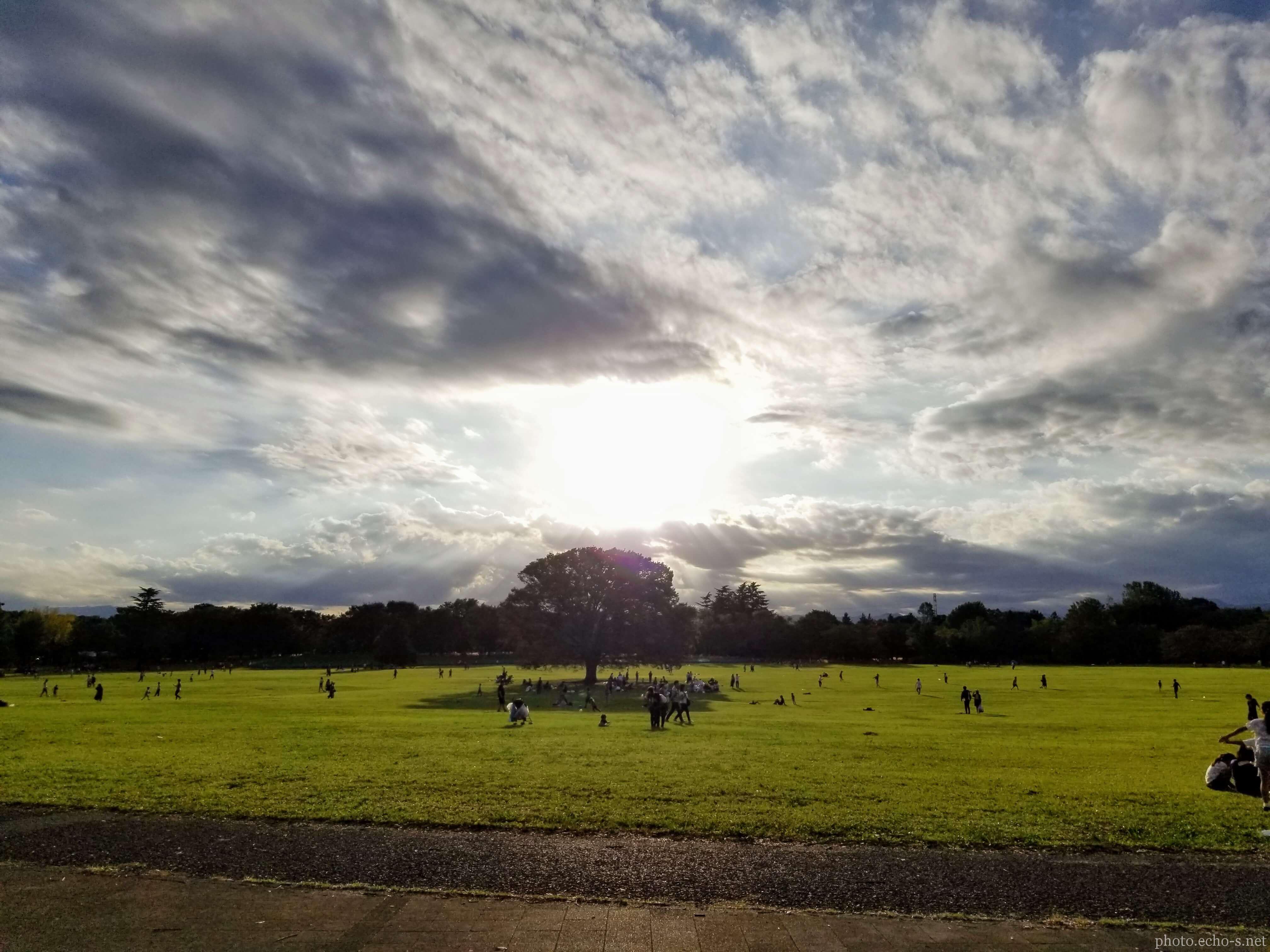 昭和記念公園 みんなの原っぱ 風景 響鳴写真館 昭和記念公園 みんなの原っぱ 風景 響鳴写真館
