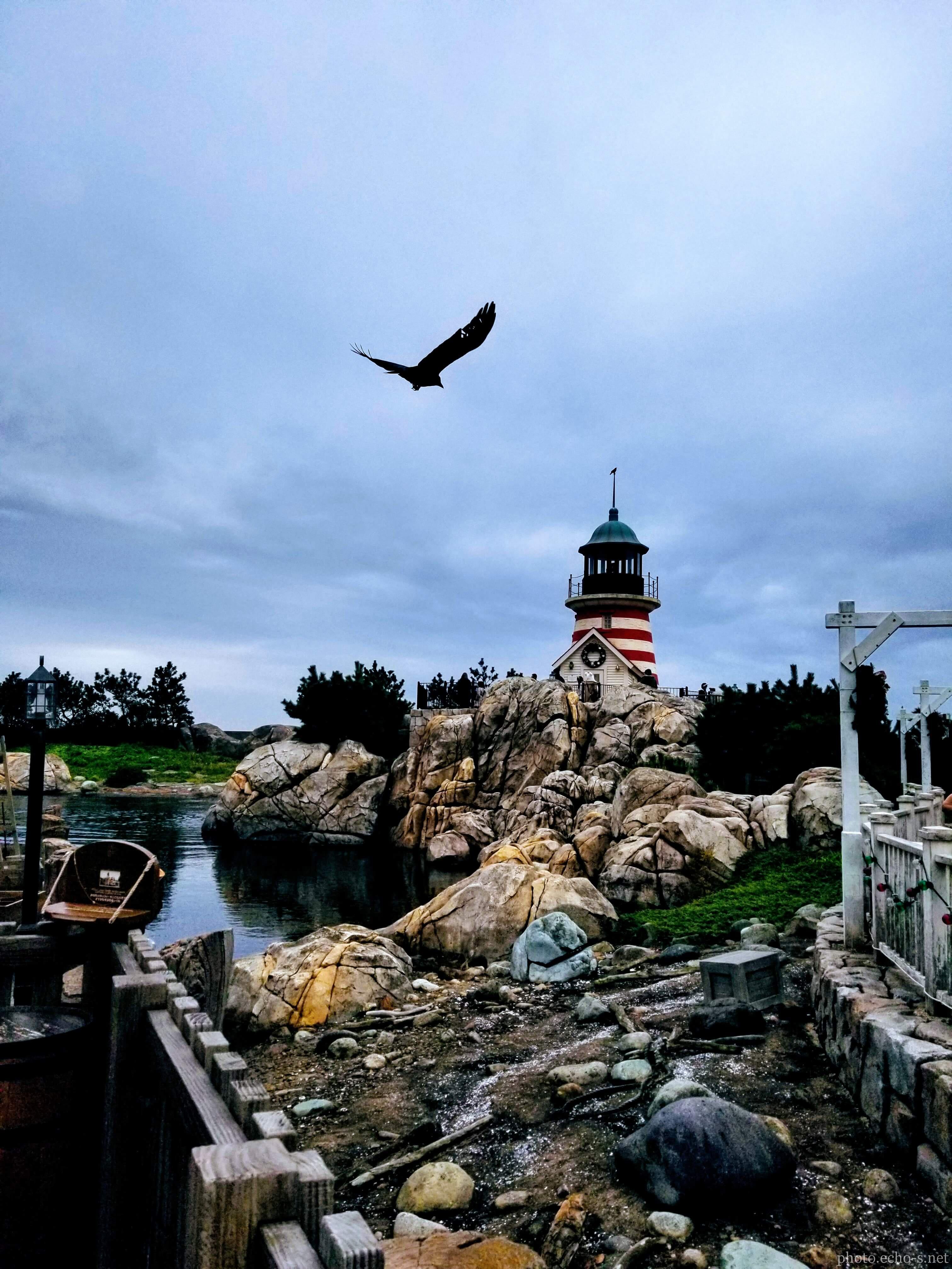 東京ディズニーシー ケープコッド ハリケーンポイント ライトハウス 風景 響鳴写真館 東京ディズニーシー ケープコッド ハリケーンポイント ライトハウス 風景 響鳴写真館