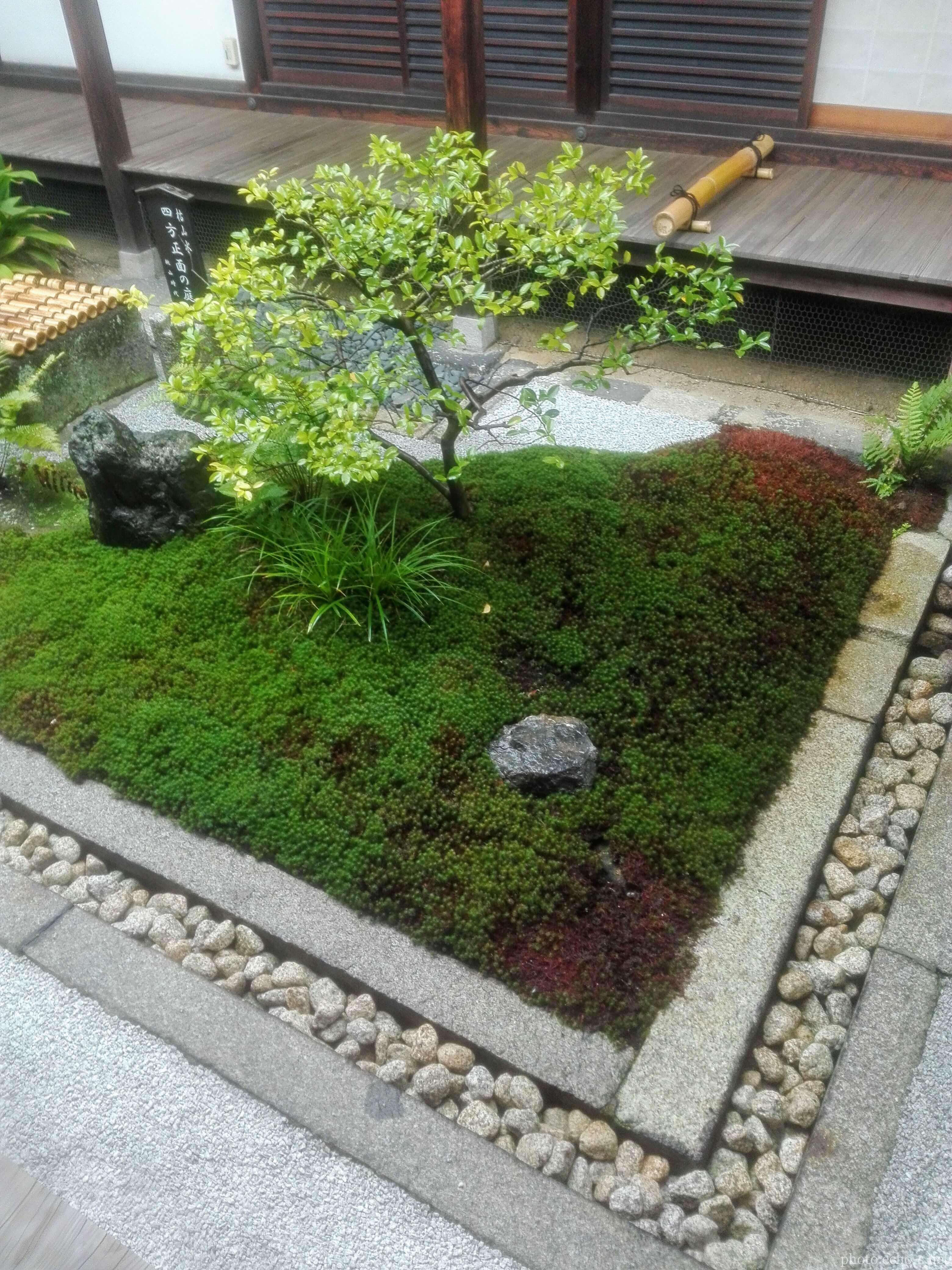 京都 東寺 観智院 四方正面の庭