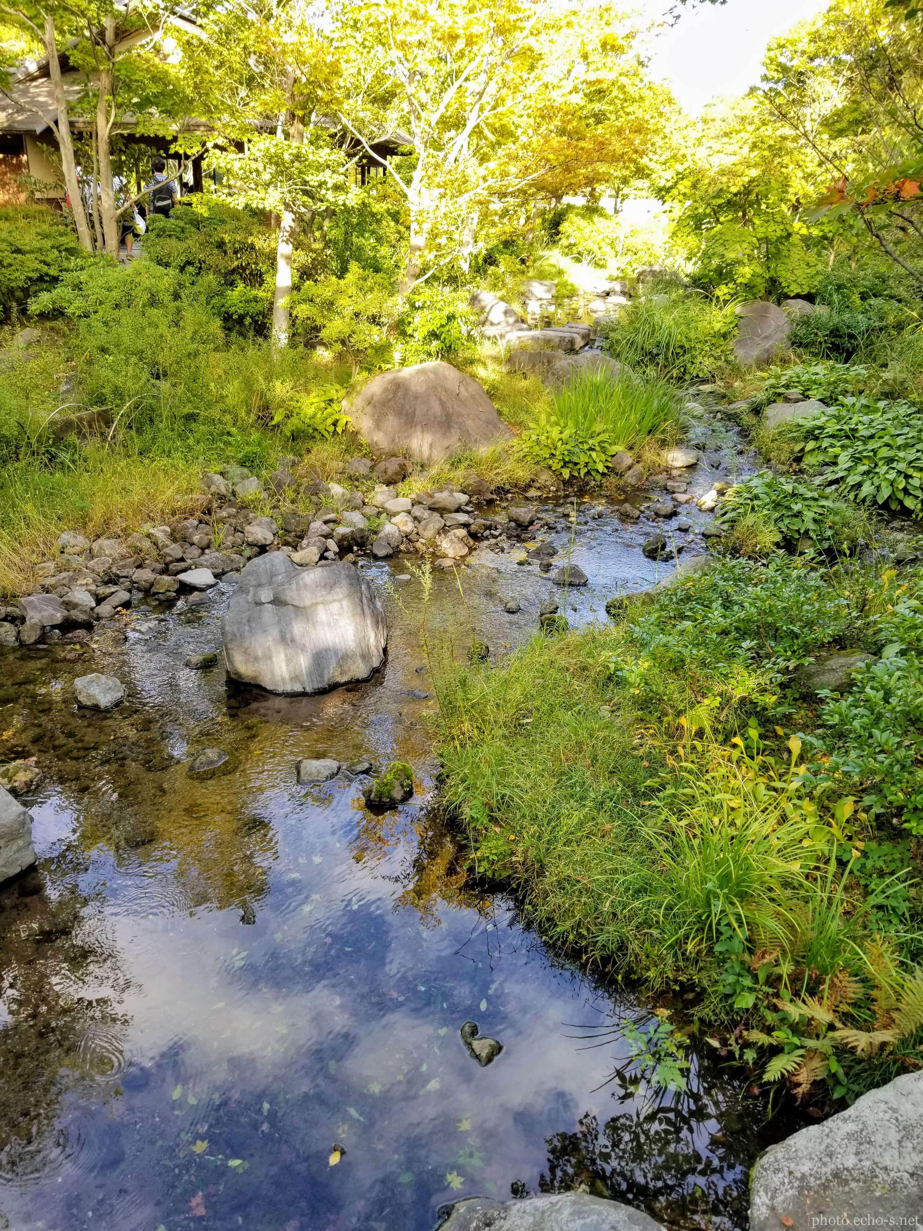 昭和記念公園 日本庭園 流水