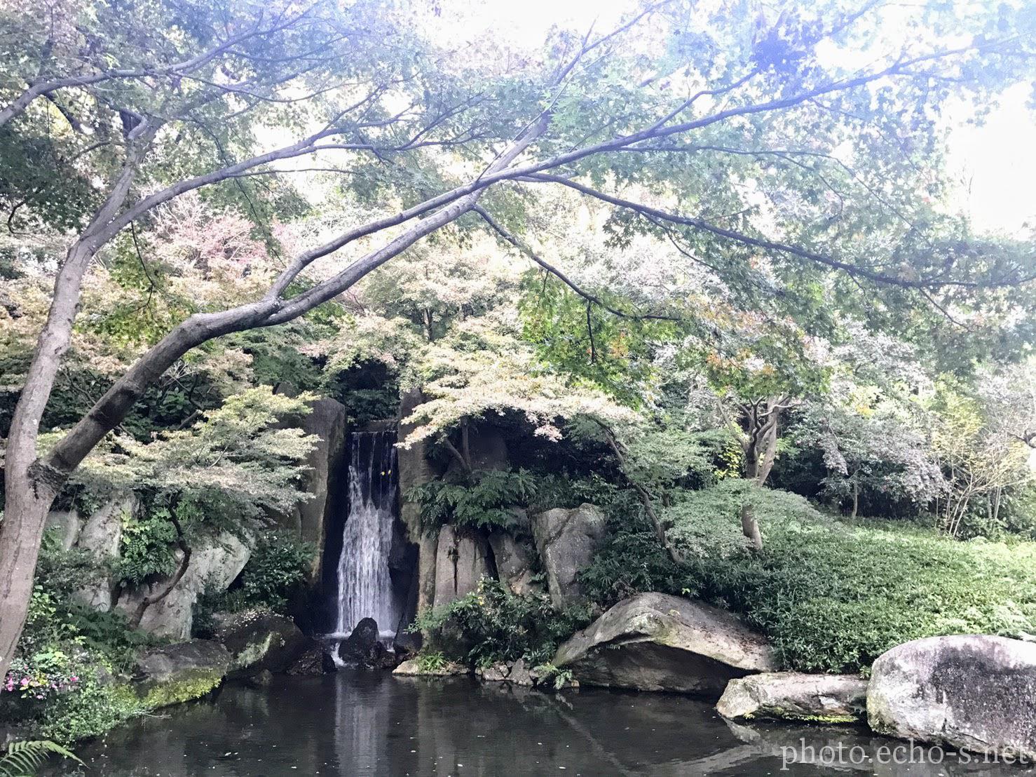 浜松城公園 日本庭園