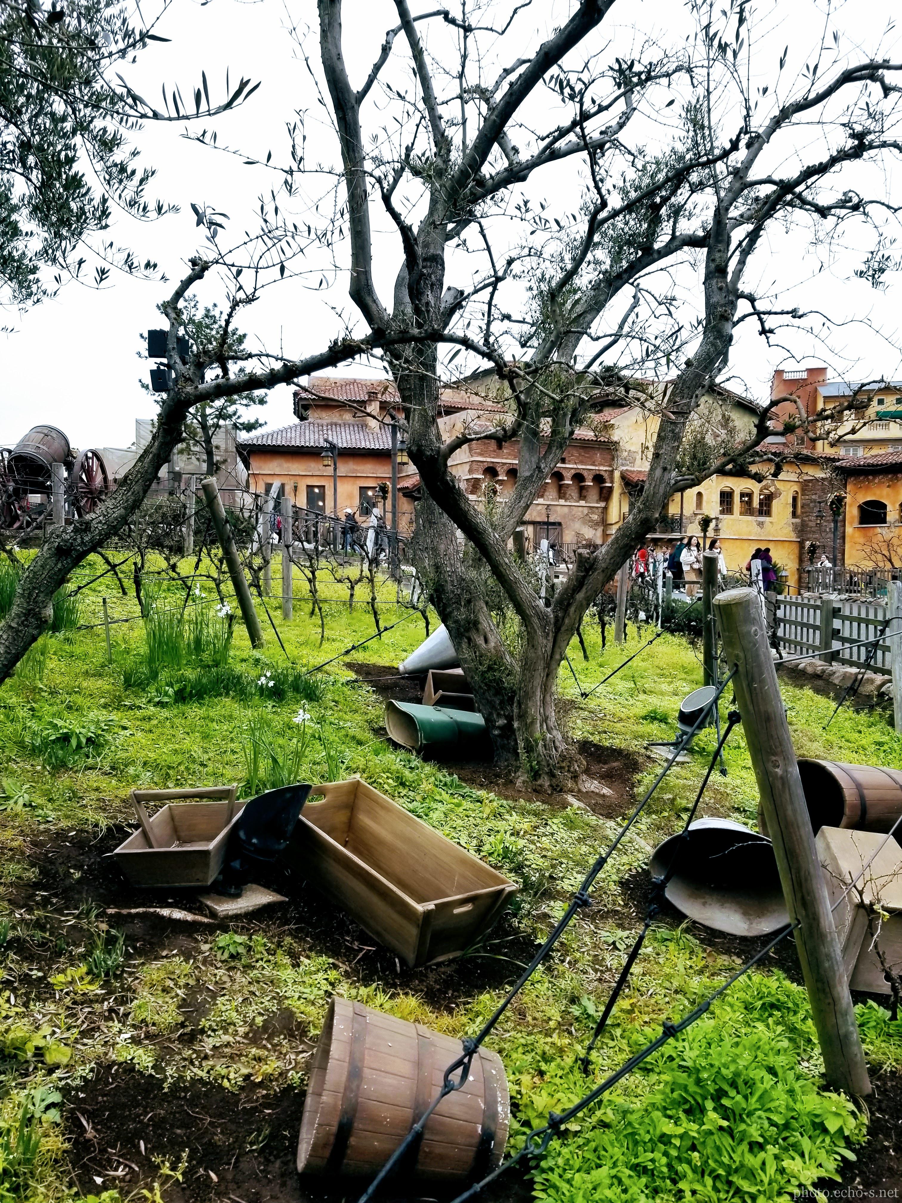 東京ディズニーシー メディテレーニアンハーバー ぶどう畑 風景 響鳴写真館 東京ディズニーシー メディテレーニアンハーバー ぶどう畑 風景 響鳴写真館