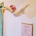 横浜 山手イタリア山庭園 ブラフ18番館 玄関 劇団シロネコ バレンタイン♡ストーリー ハートを届けに… 横浜 山手イタリア山庭園 ブラフ18番館 玄関 劇団シロネコ バレンタイン♡ストーリー ハートを届けに…