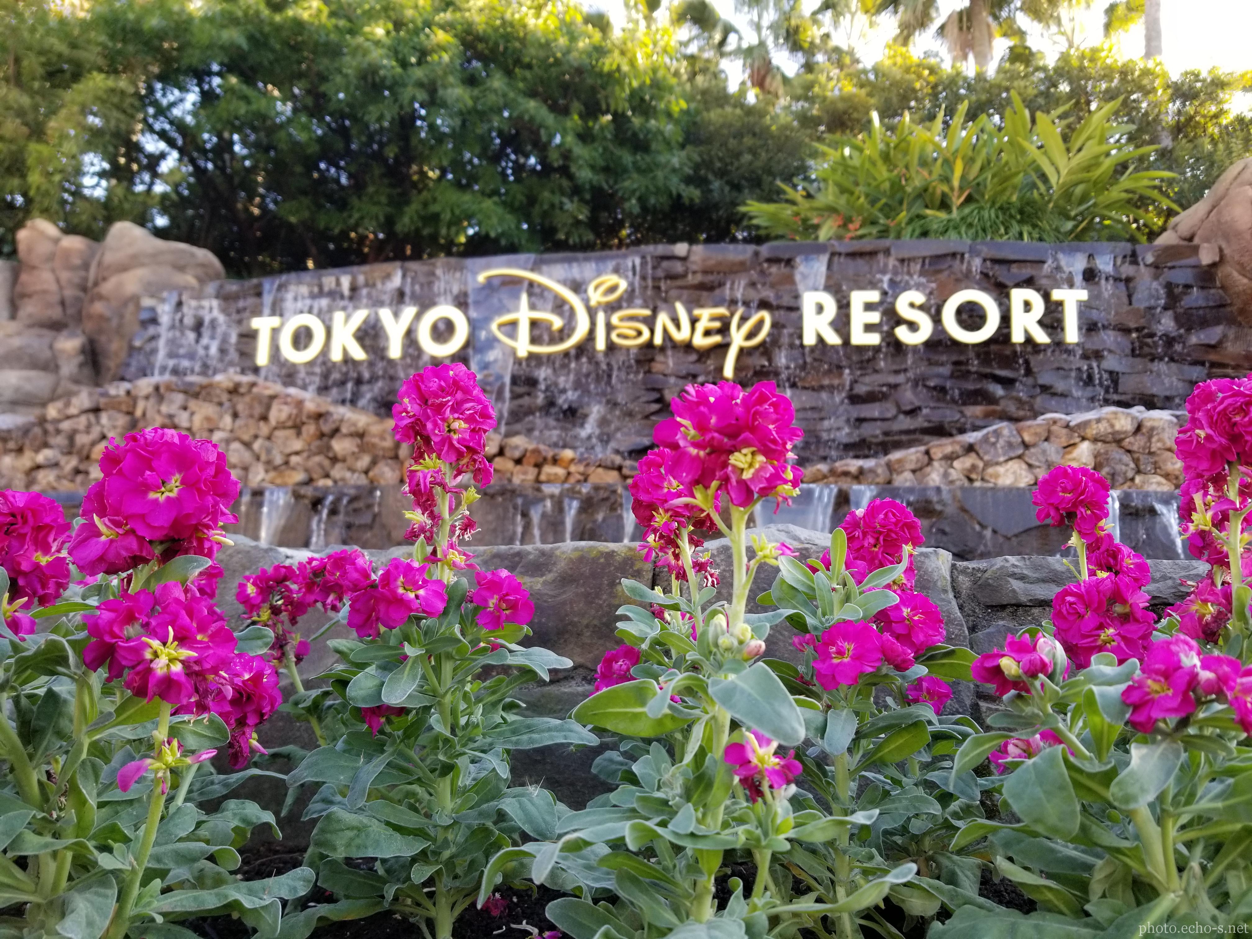 東京ディズニーシー メディテレーニアンハーバー ぶどう畑 風景 響鳴写真館 東京ディズニーシー メディテレーニアンハーバー ぶどう畑 風景 響鳴写真館