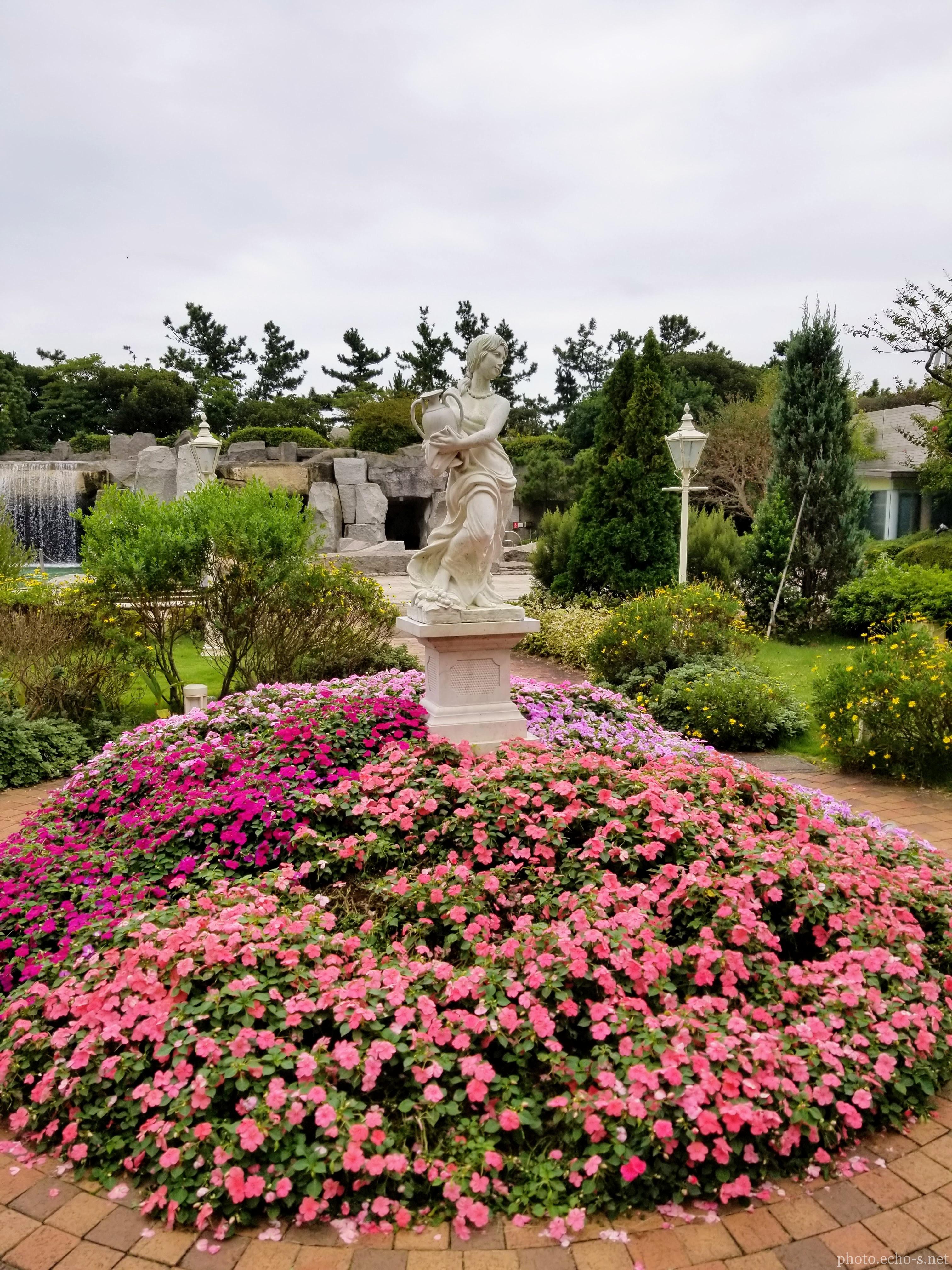 舞浜 シェラトン・グランデ・トーキョーベイ・ホテル シェラトンガーデン インパチェンス 舞浜 シェラトン・グランデ・トーキョーベイ・ホテル シェラトンガーデン インパチェンス