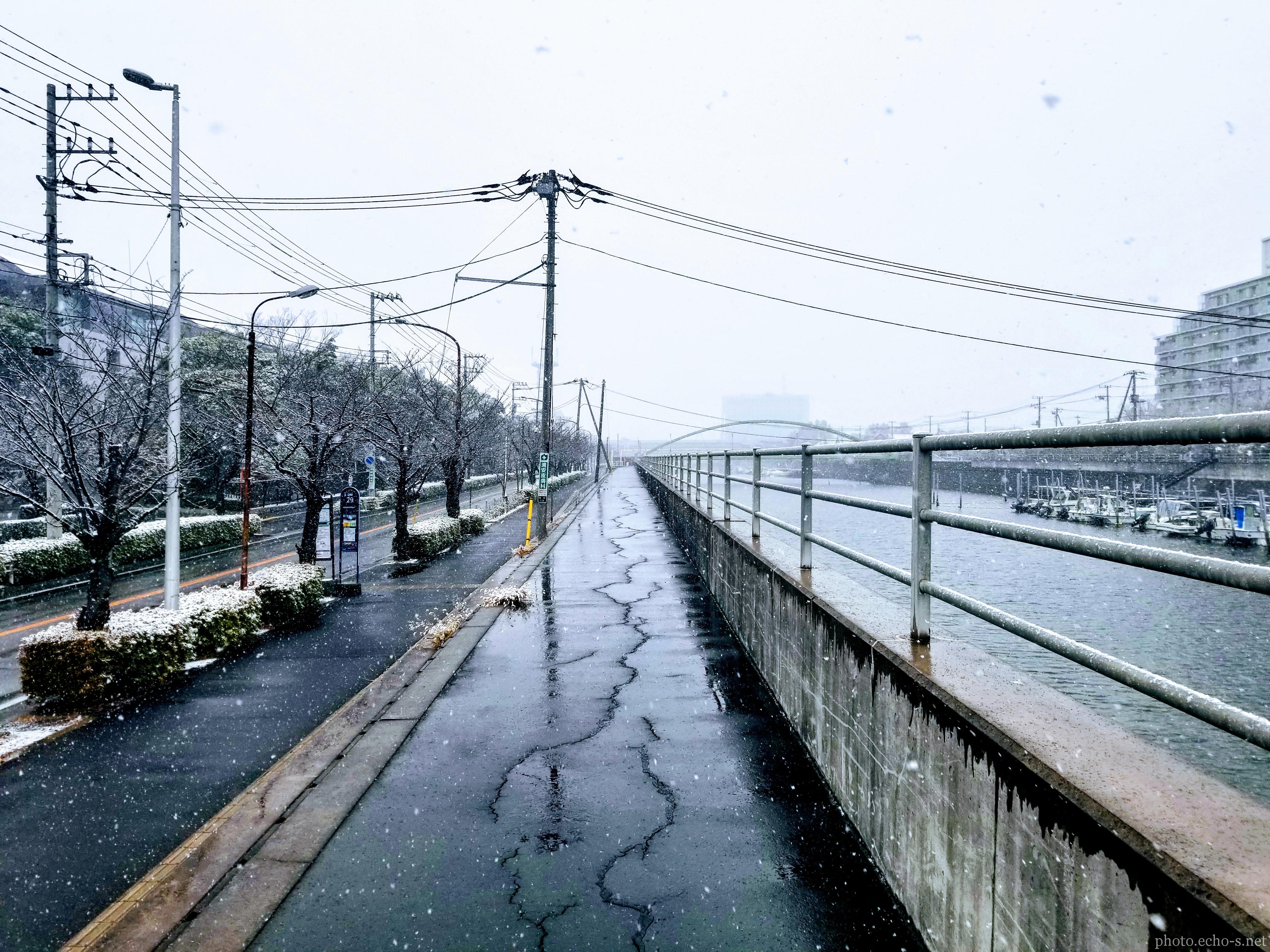新浦安  冨岡 境川 さくら通り 雪