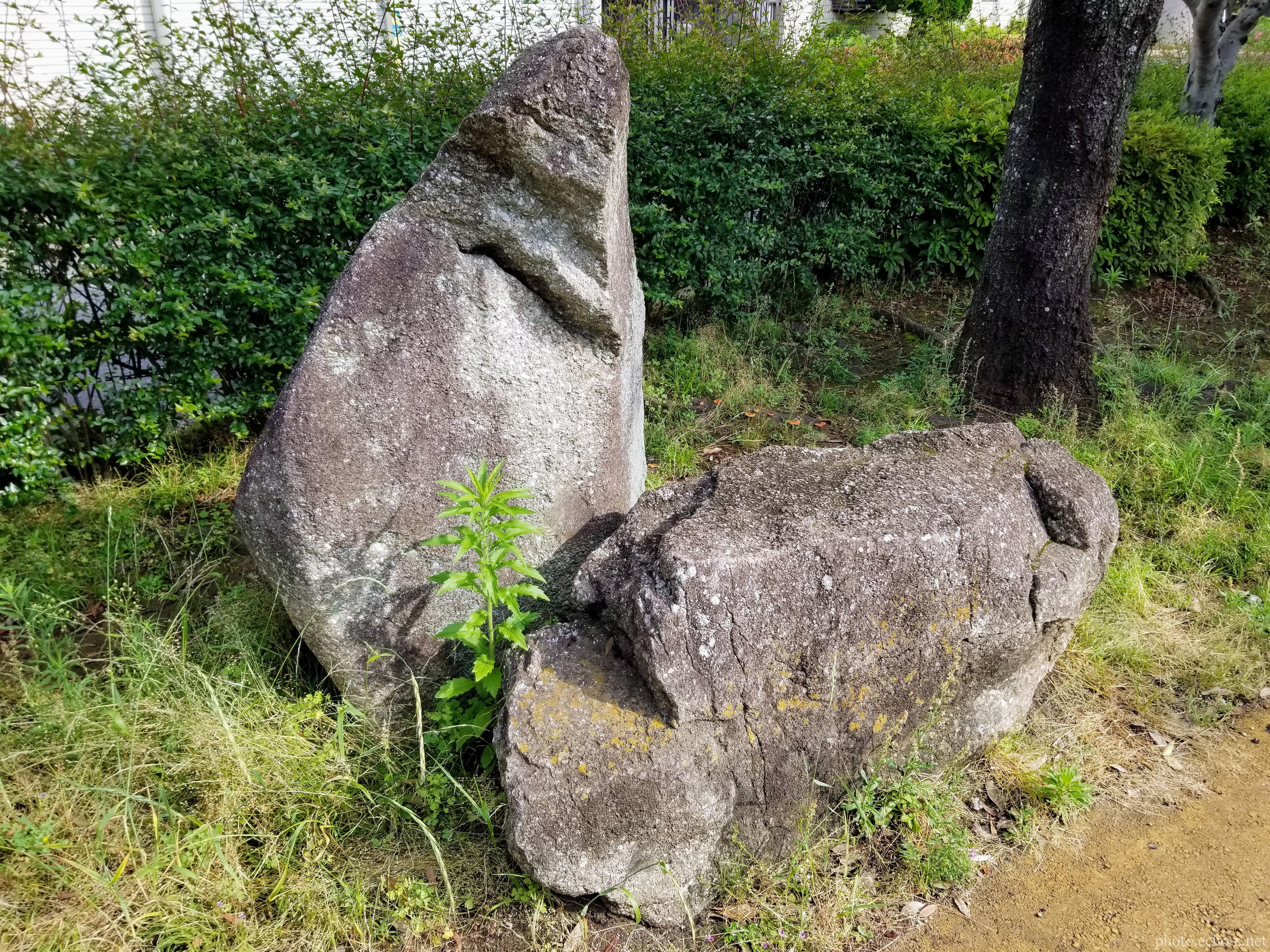 新浦安 富士見 しおかぜ緑道 双子岩